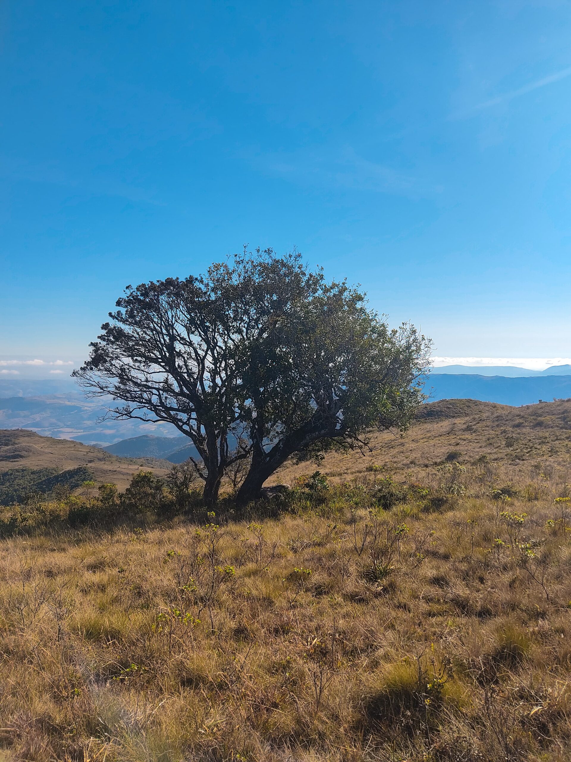 IMG-20250510-WA0003