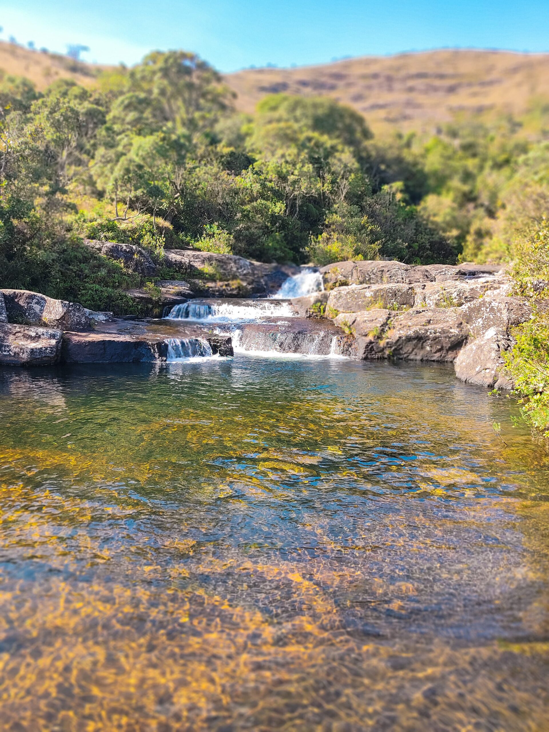 IMG-20250510-WA0018