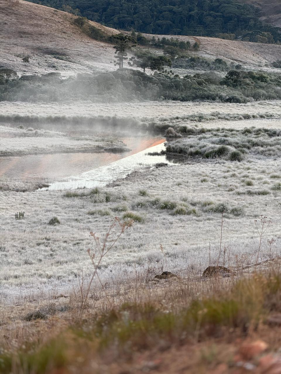 IMG-20250805-WA0021