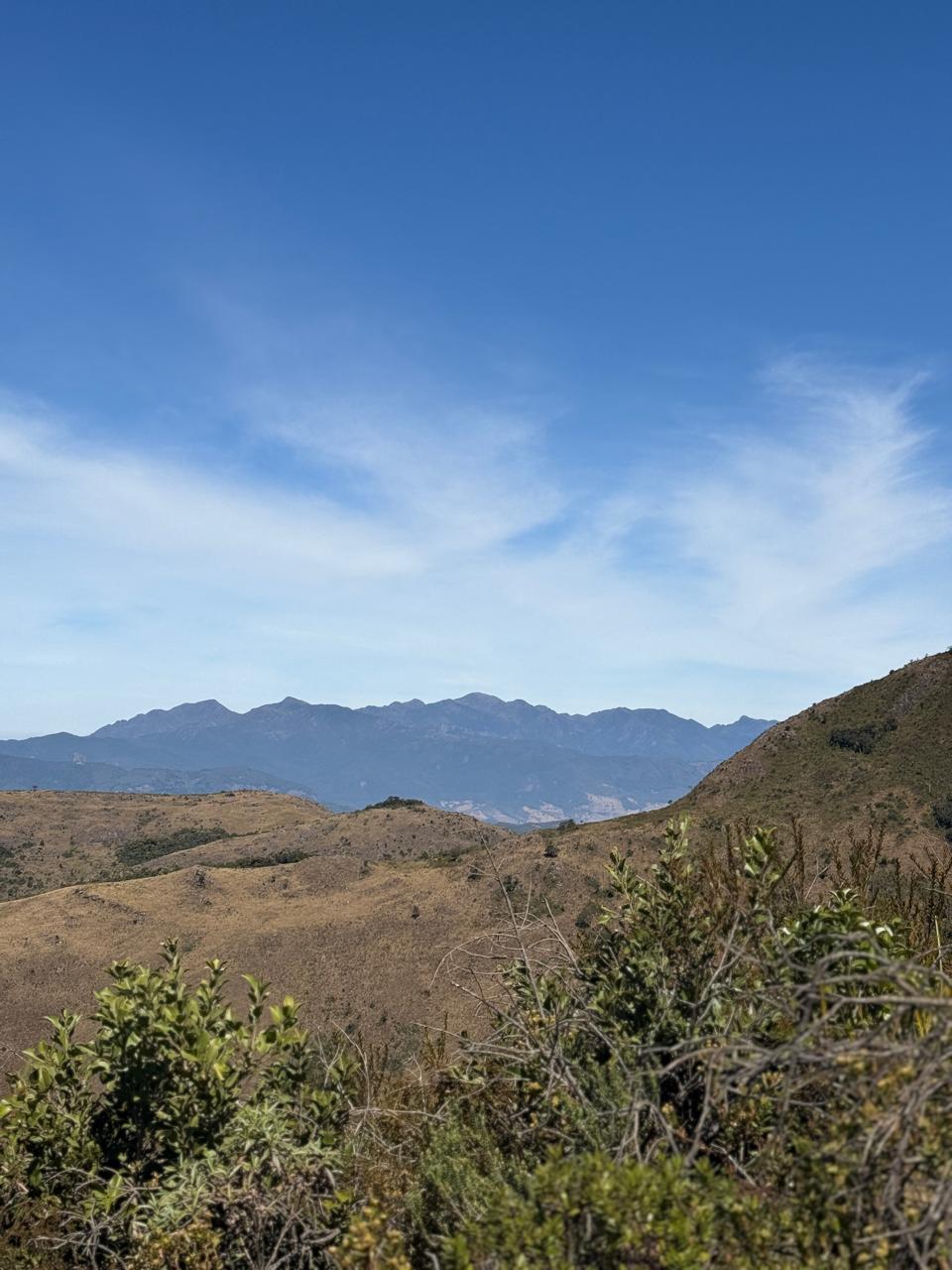 IMG-20250805-WA0097