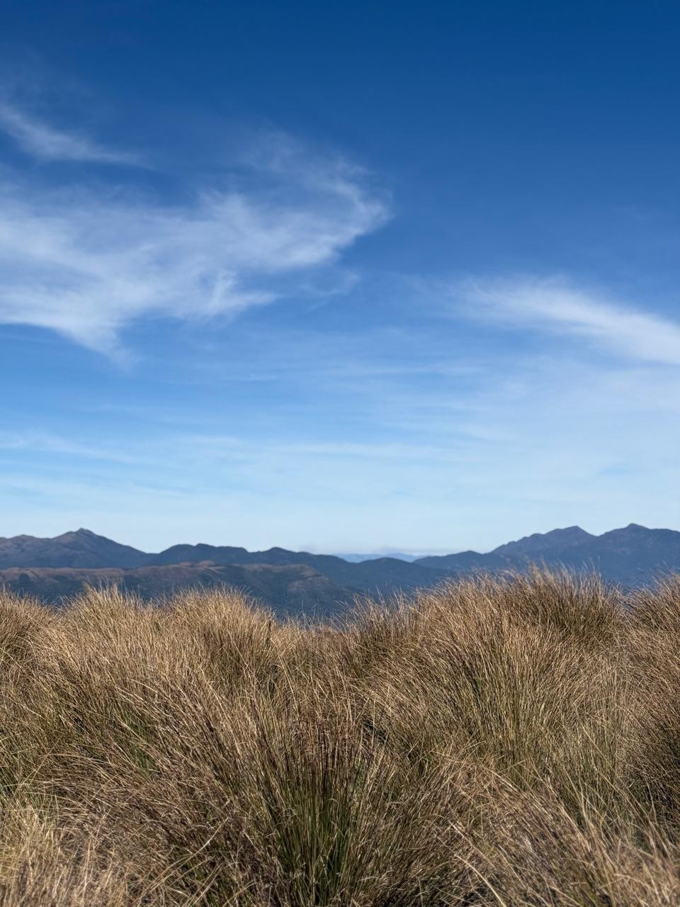 IMG-20250805-WA0099